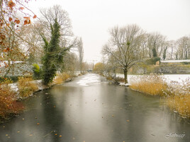 Parc de la Citadelle
