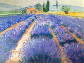 Champ de lavande dans la Drôme