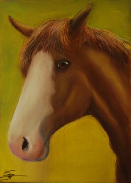 Un cheval nomm&eacute; Zorro