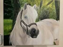 Poney Shetland nommé Toona de Bennes