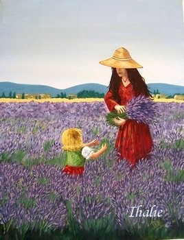 Cueillette de lavande