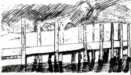 Black and White landscape