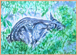 Le petit faon caché dans l'herbe  / Painting : the hidden fawn