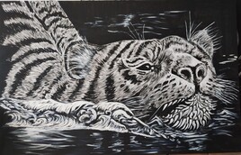 Un tigre à l'eau