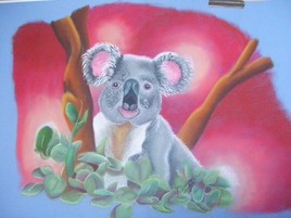 Koala