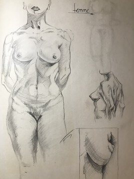 Anatomie1