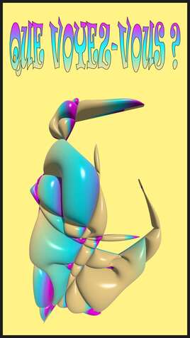 Que voyez-vous ?