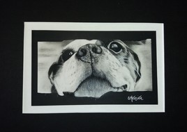 Derri&egrave;re la barri&egrave;re