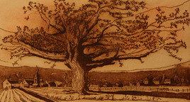 Le vieux ch&ecirc;ne