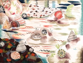 Que savons-nous des coquillages ?