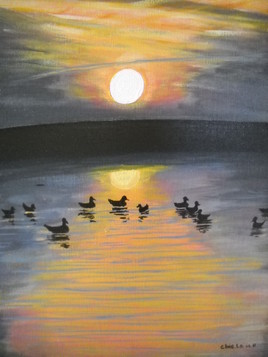 Canards &agrave; l'affut