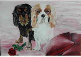 2 chiennes Cavalier King Charles