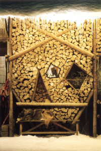 Chiens de tra&icirc;neau 9