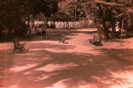 Normopathe &agrave; la retraite