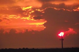 La flamme de dame nature