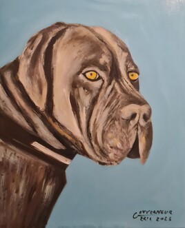 Cane corso