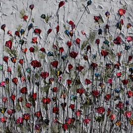 Poppies and memories