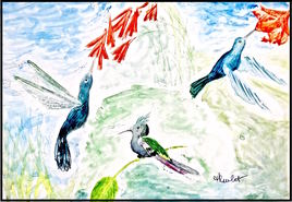 Colibris de Martinique / Watercolor Hummingbirds of Martinique