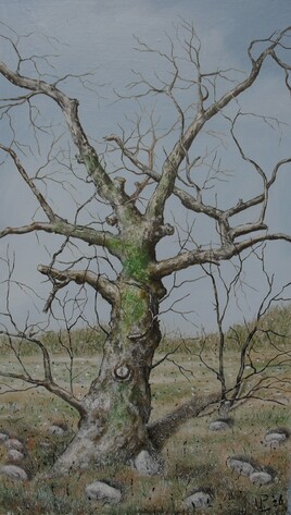 The Old Tree ( after A.W. )