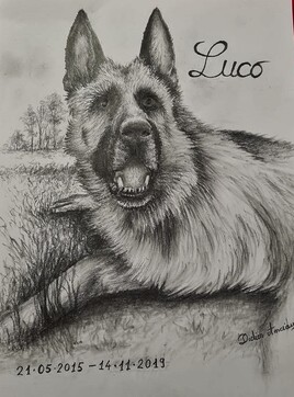 luco
