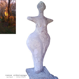 V&eacute;nus St&eacute;atopyge