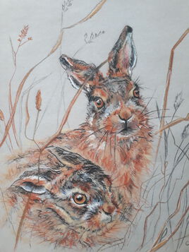 Petits li&egrave;vres