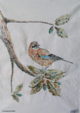 Le Geai des ch&ecirc;nes