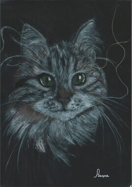 'Chat"