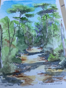 la coubre tranchée 49 vers la Forêt