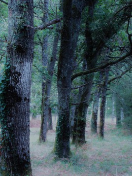 Voici que s'en vient la saison, Des regrets et de la raison