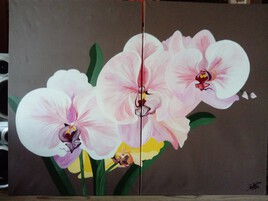 les orchidées 2