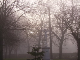 campagne de seyre 2008