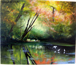 sous bois flamboyant