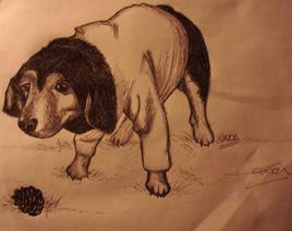 coca un chien petillant