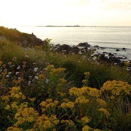 Photo qui a inspir&eacute; mon tableau