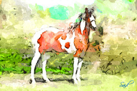Peinture digitale d'après modèle photo de cheval