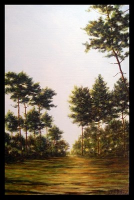 pinède, le soir / evening in the pine clearing