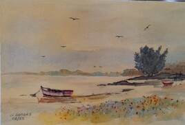 Barques au bord d'un lac