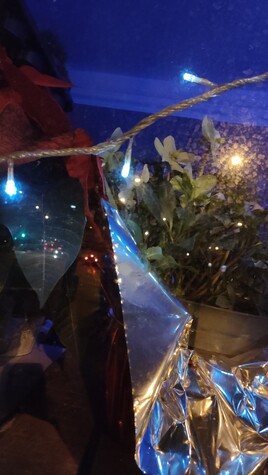 Nuit bariol&eacute;e.