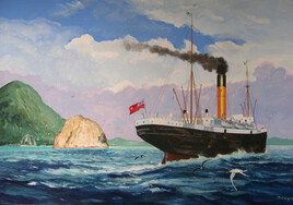 Le vapeur canadien RORAIMA en Martinique