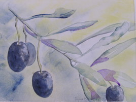 olives de Nyons