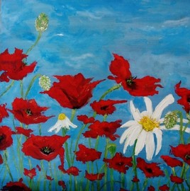 coquelicots6