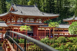 Byodo temple .2019 Part 5