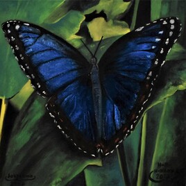 tableau papillon, paysage papillon bleu par joky kamo