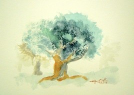 arbre 33