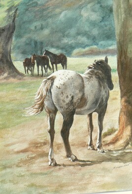 Cheval qui a refusé de poser