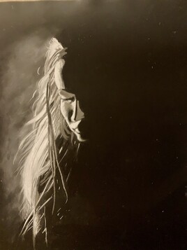 R&ecirc;verie nocturne