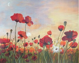 Champs de coquelicots