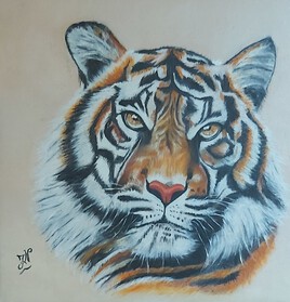 Tigre