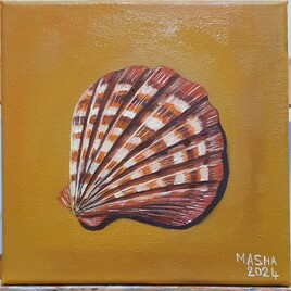 &Eacute;t&eacute;: Coquillage